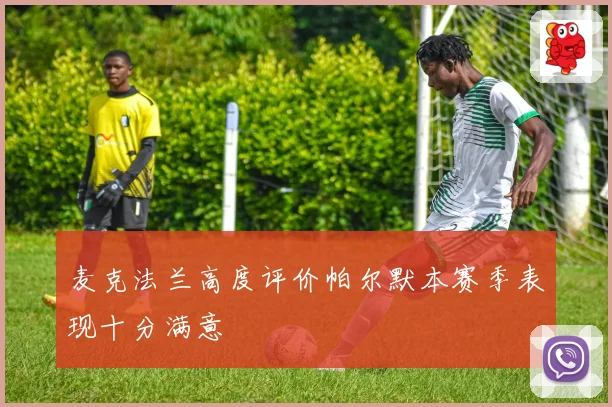 麦克法兰高度评价帕尔默本赛季表现十分满意